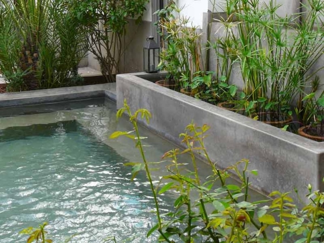bassin de jardin contemporain