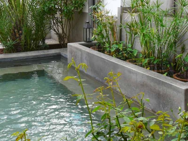 Créer un bassin contemporain dans votre jardin Bassin décor Jardin