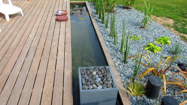 bassin poisson terrasse