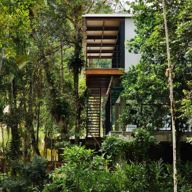 maison-design-foret-tropicale-08