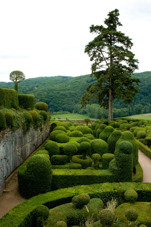 jardin-anglaise-buis