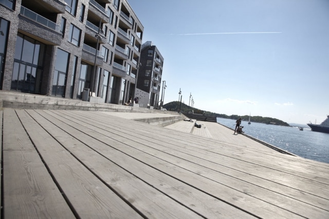 Terrasse en bois Kebony