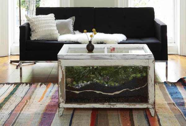 table-basse-aquarium