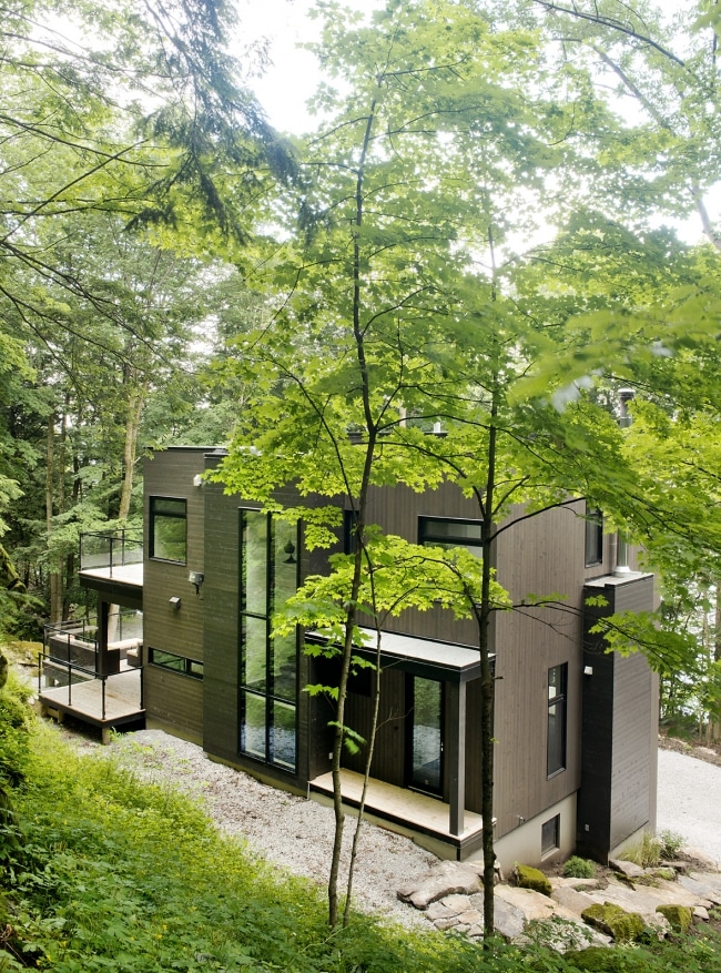 chalet-contemporain-bois-toit-terrasse