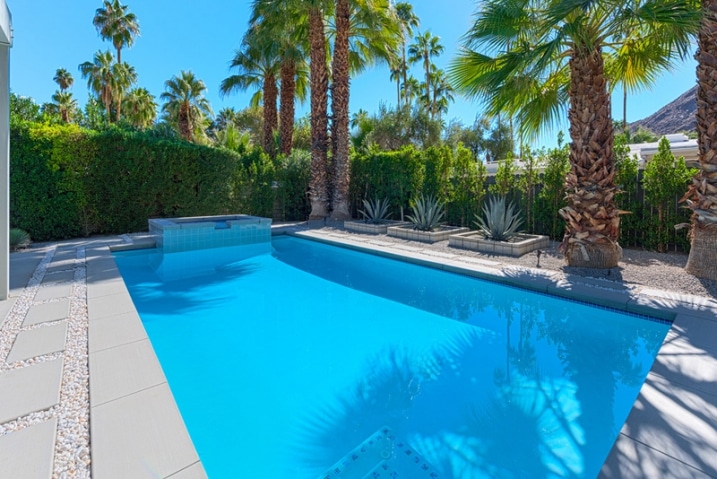 Palmiers au bord piscine