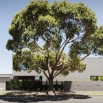 Arbre devant maison