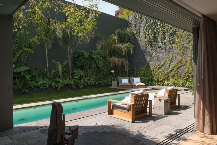 Piscine avec plantes autour