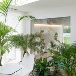 Jardin d'interieur