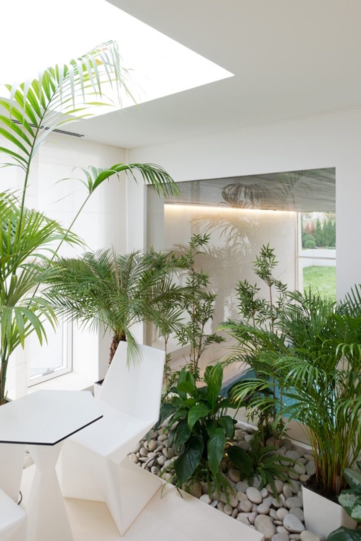 Jardin d'interieur