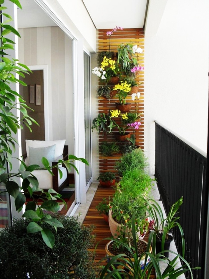 Plantes murales sur balcon