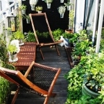 Plantes pour terrasse