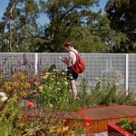 Jardin zen sur Rooftop