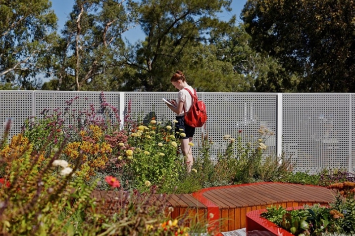 Jardin zen sur Rooftop