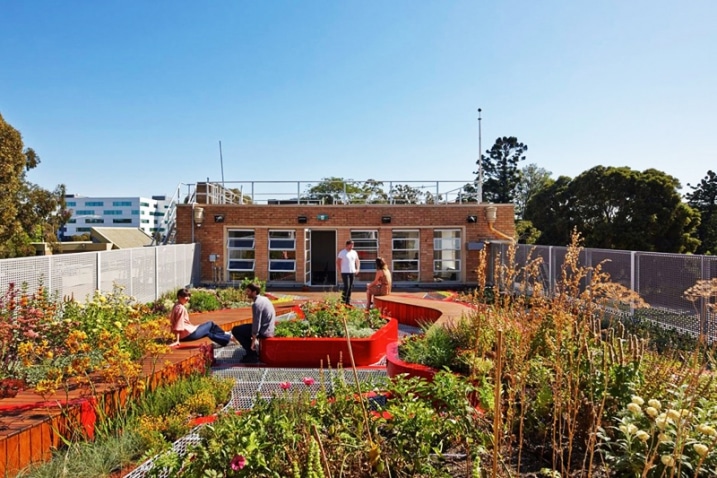 Jardin contemporain rooftop