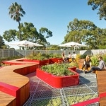 Jardin écologique sur rooftop