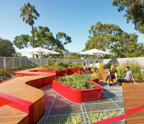 Jardin écologique sur rooftop