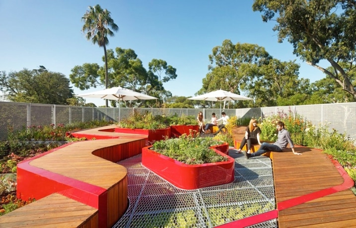 Jardin écologique sur rooftop