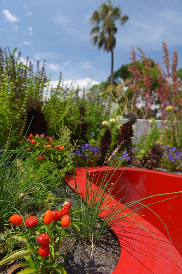 Potager sur un toit