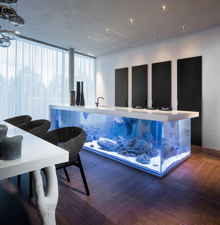 Aquarium dans cuisine