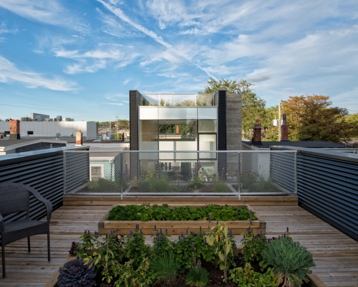 Faire un potager sur rooftop