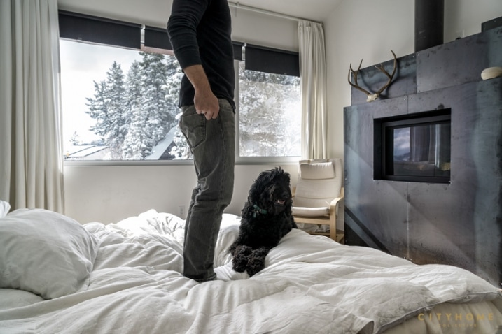 Cheminée dans une chambre