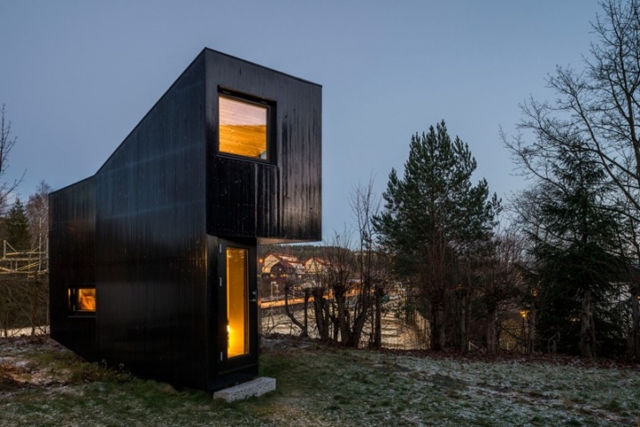 Chalet de jardin noir