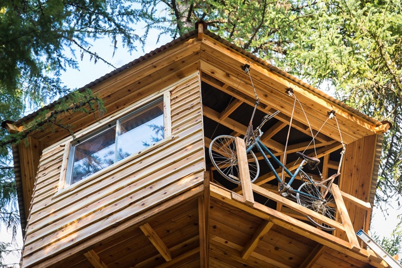 cabane arbre