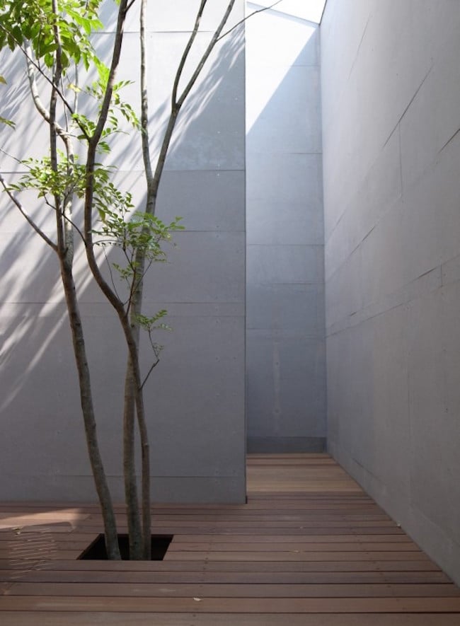 Modern minimal courtyards