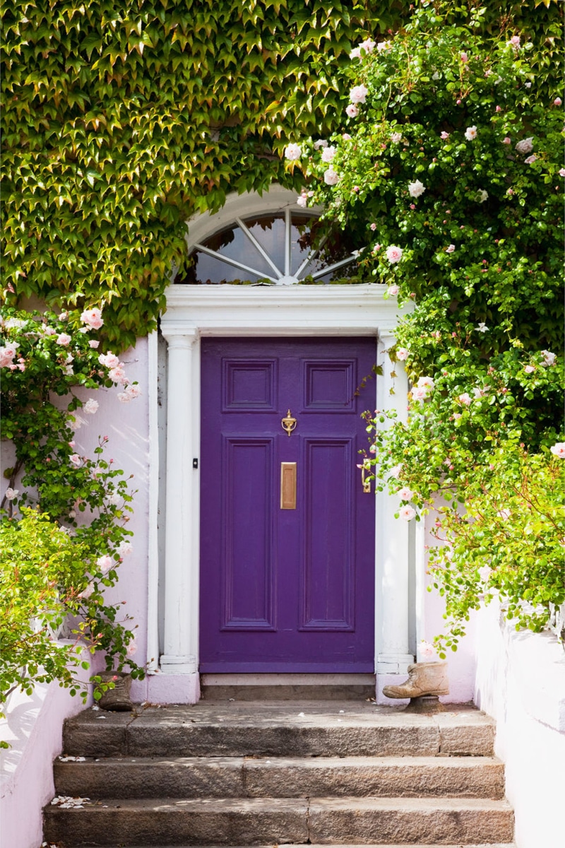 Porte entrée rustique