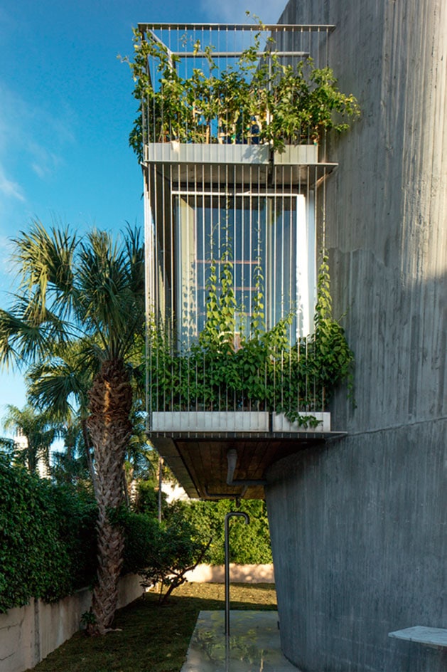 Balcon végétalisé