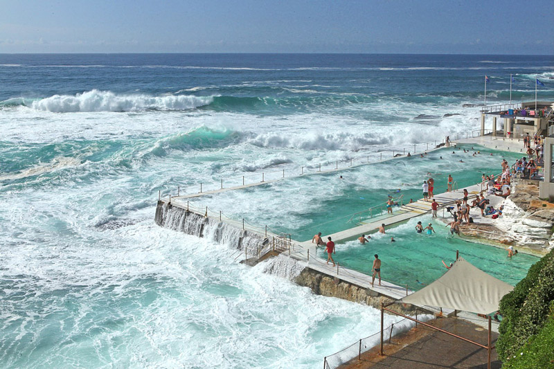 Bondi Icebergs