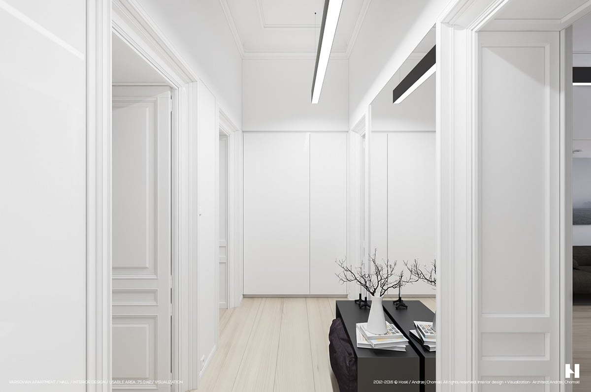 Couloir minimaliste avec parquet