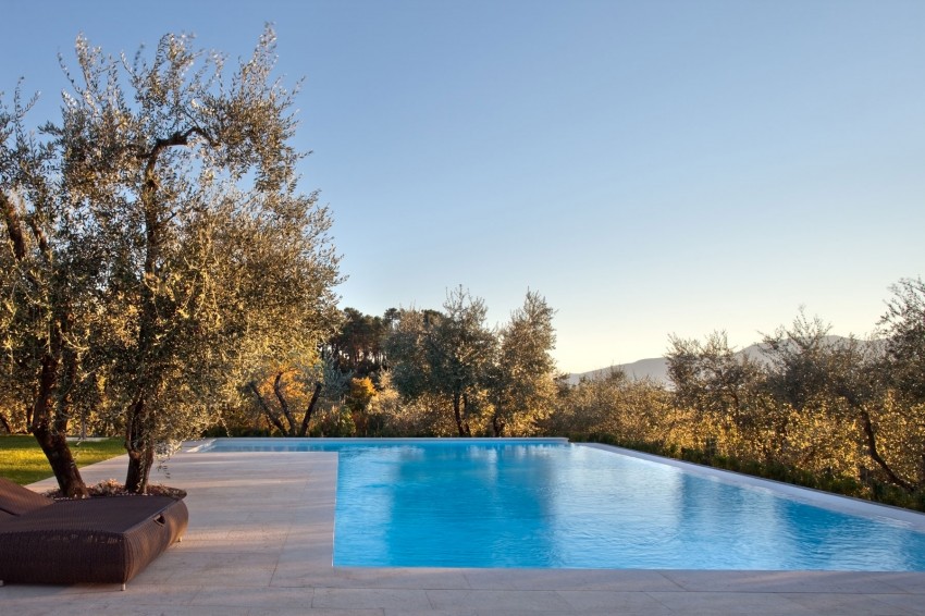 Piscine avec oliviers