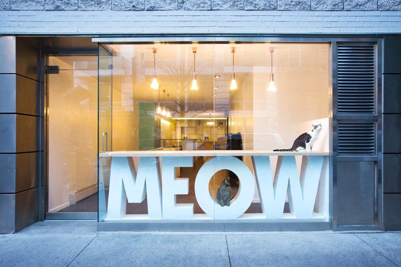 Meow Parlour New York