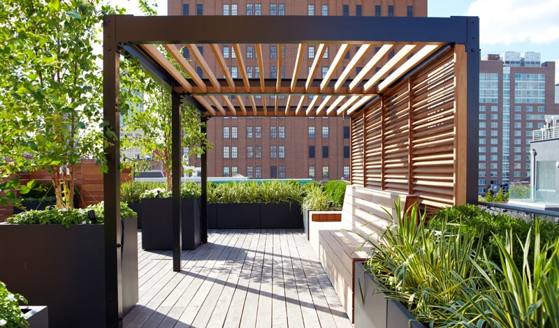 amenagement plantes pergola