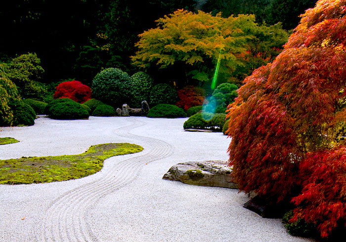 jardin-erable-japonais