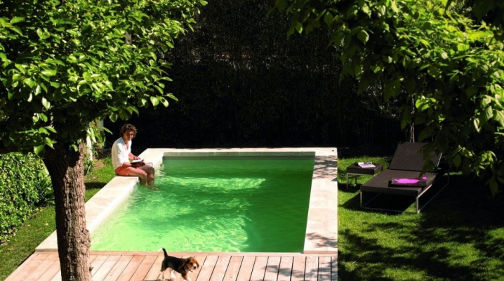 piscine pour petit jardin