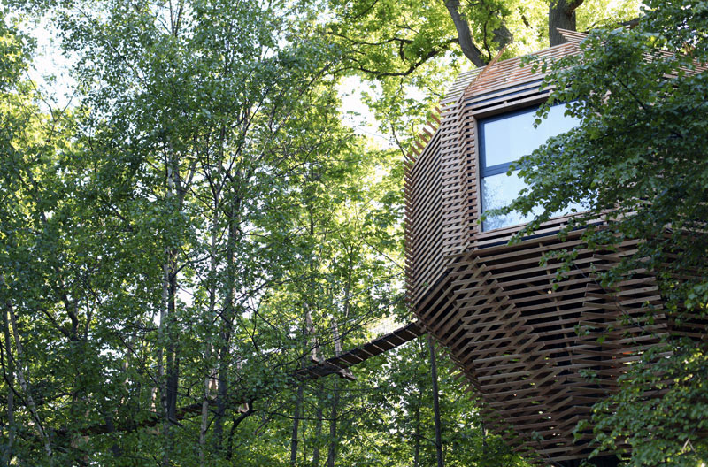 cabane-bois-arbre