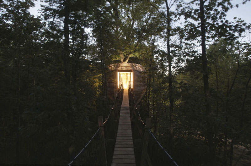 passerelle-cabane-arbre