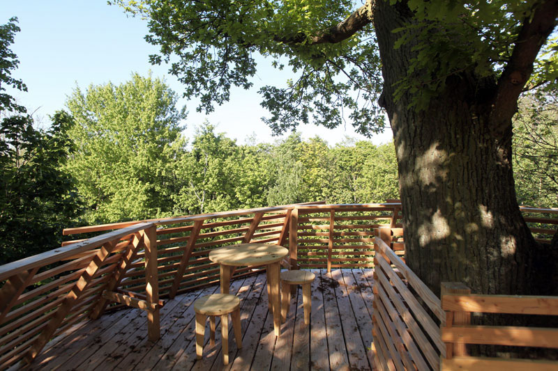 rooftop-cabane-bois