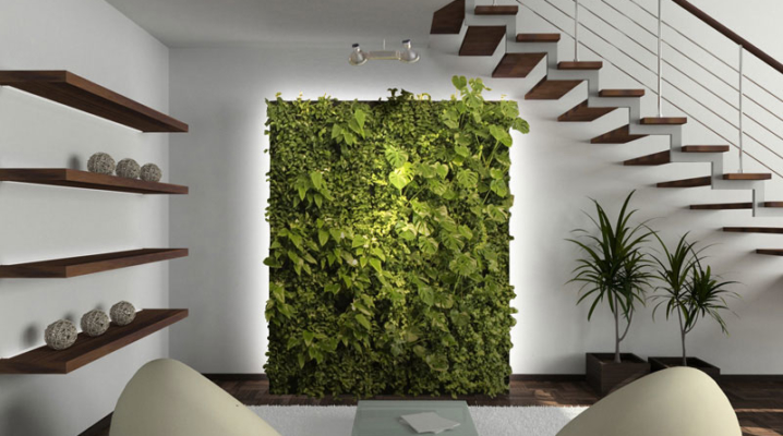 Comment Faire Un Mur Vegetal En Interieur Ou Exterieur