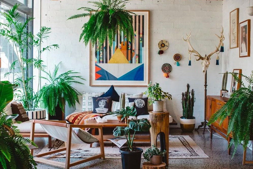 décoration salon plantes