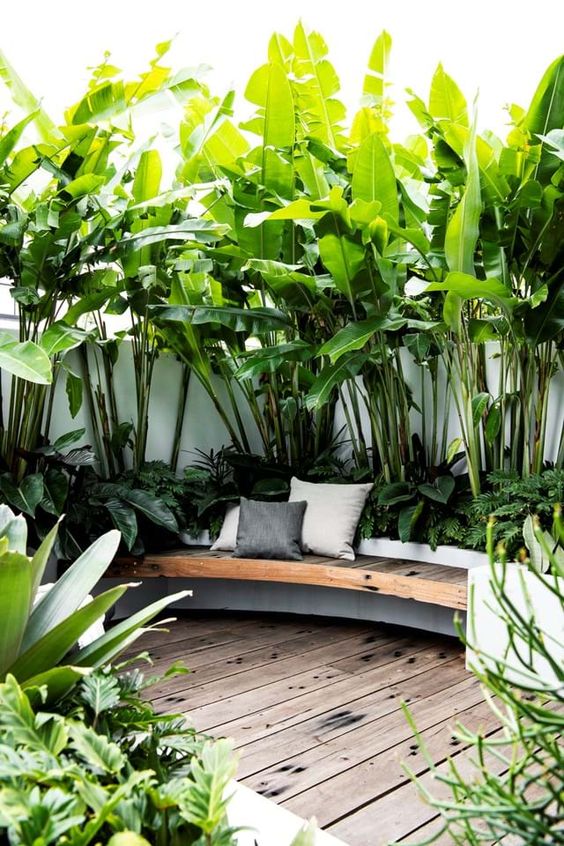  terrasse minimaliste avec avec des plantes