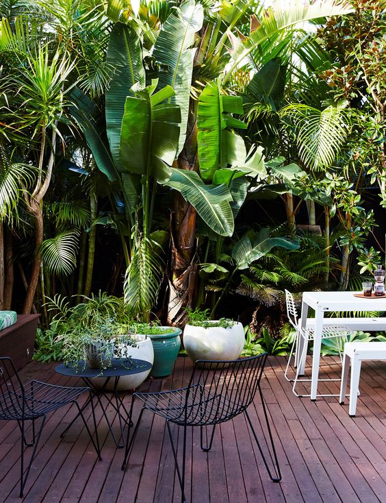terrasse tropicale jardin luxuriant