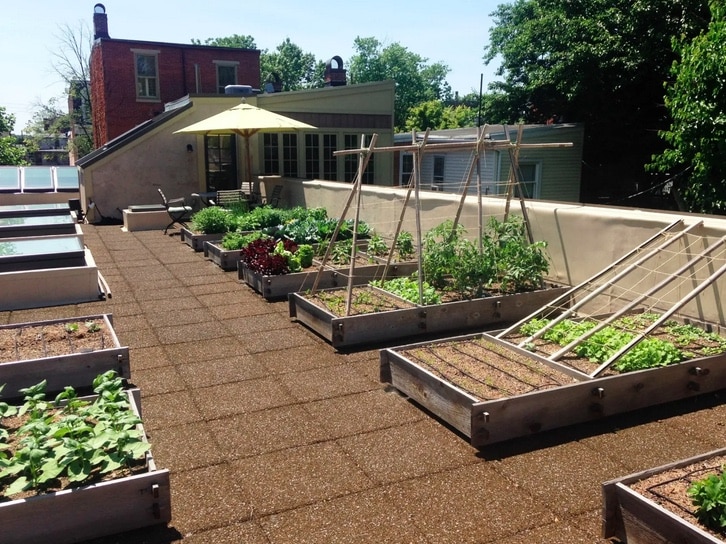 jardin en carrée