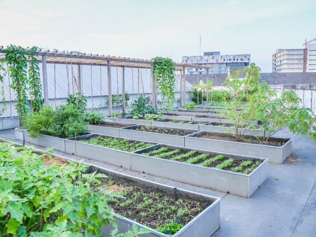 jardin collectif en ville sur le toit