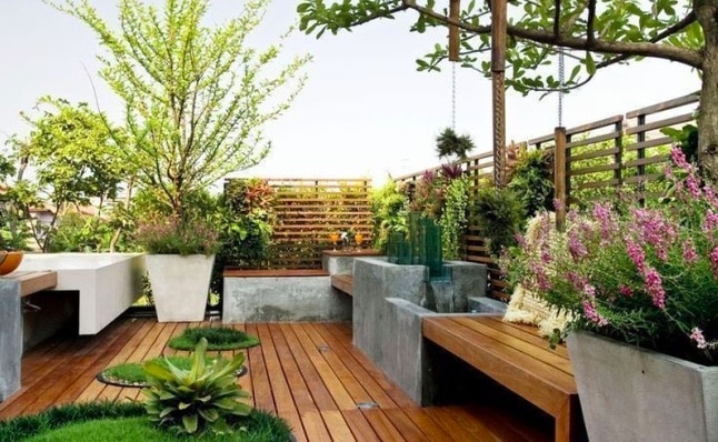 plantes-terrasse