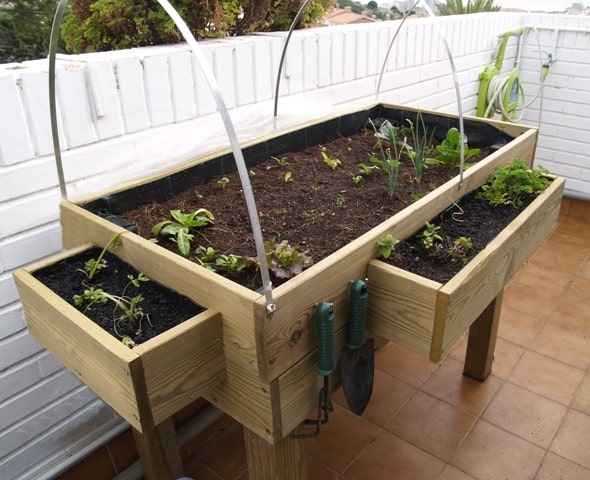 table de culture pour legumes en bois