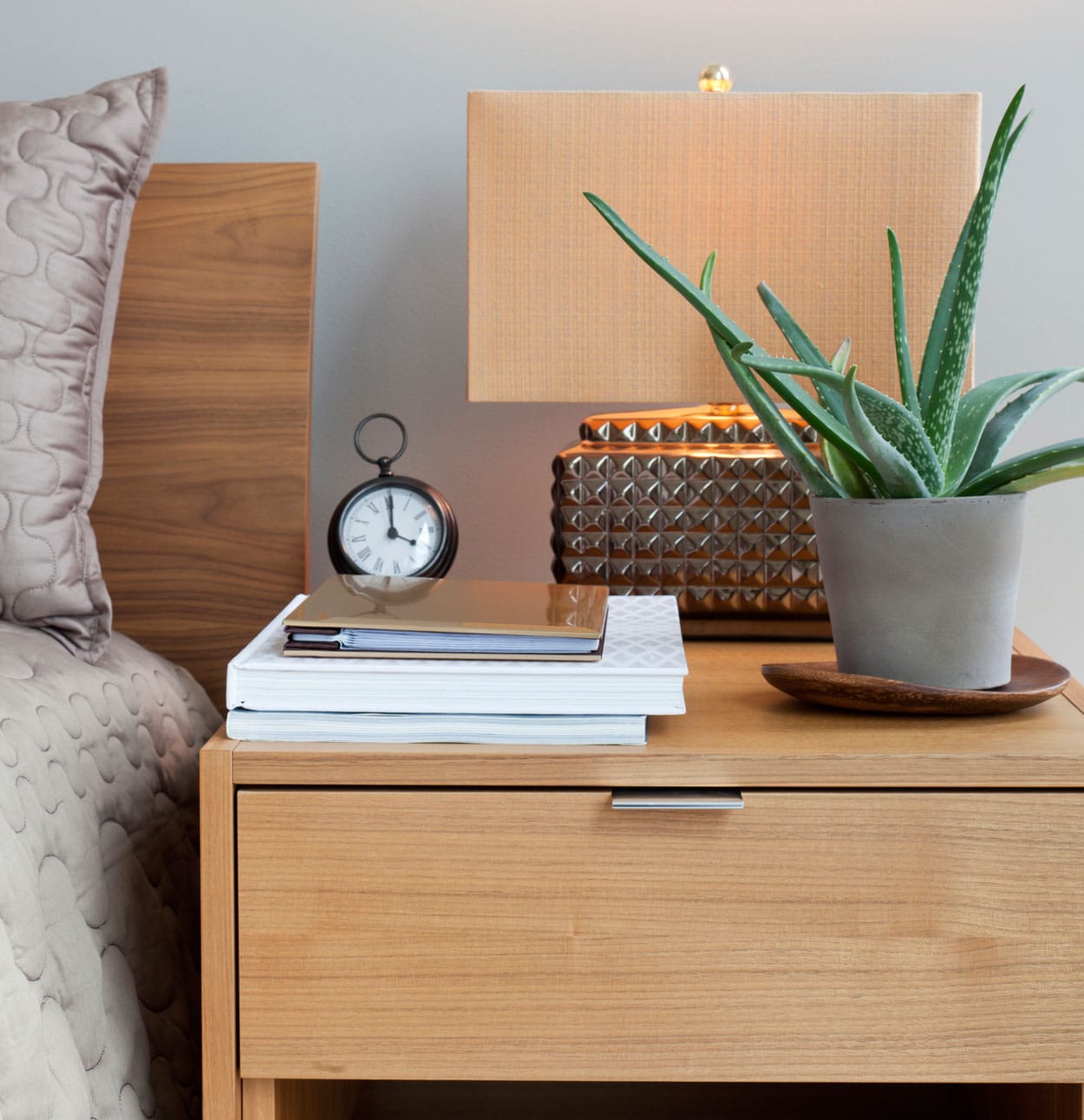 aloe-vera-table-nuit-chambre