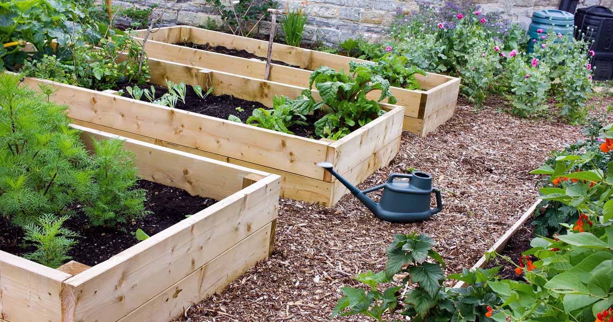 carré bois pour jardin